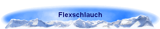 Flexschlauch